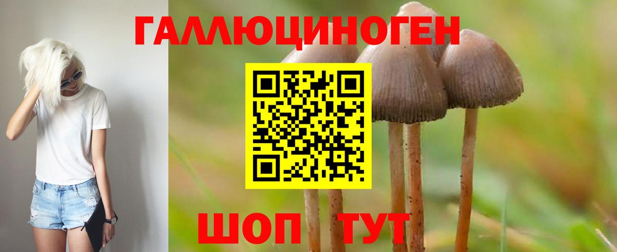 Галлюциногенные грибы ЛСД  Вход с VPN  сколько стоит  Дзержинск 